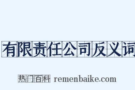 有限责任公司反义词是什么意思的图片
